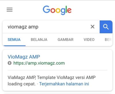 Contoh Hasil Pencarian VioMagz AMP