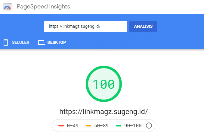PageSpeed - LinkMagz