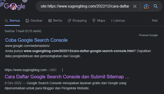 Blog Lama Tidak Terindeks Di Google? Ini Penyebab Dan Solusinya